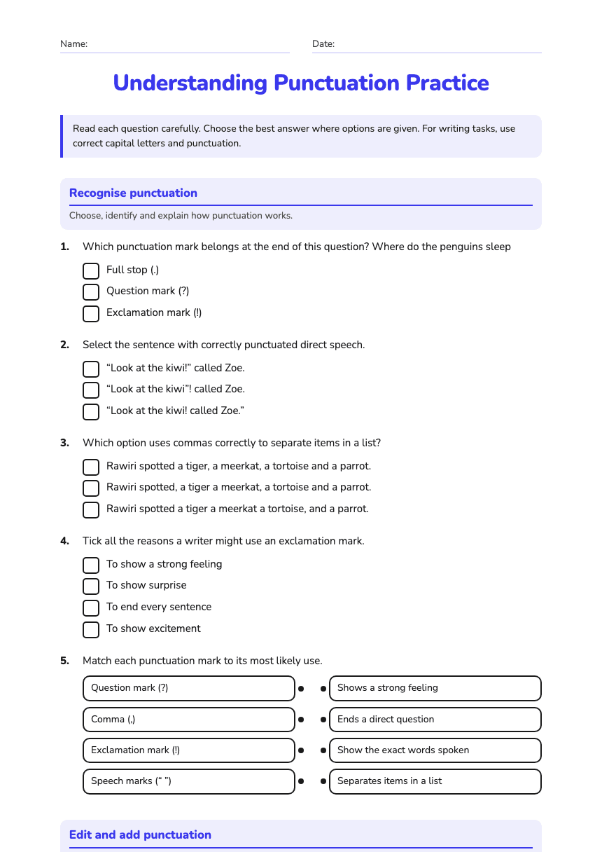 Understanding Punctuation Practice worksheet preview