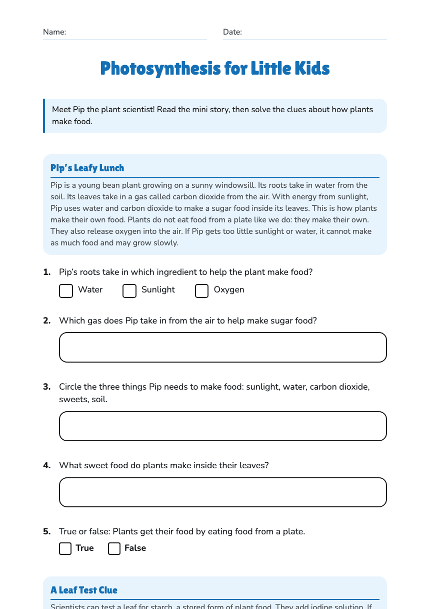 Photosynthesis for Little Kids worksheet preview