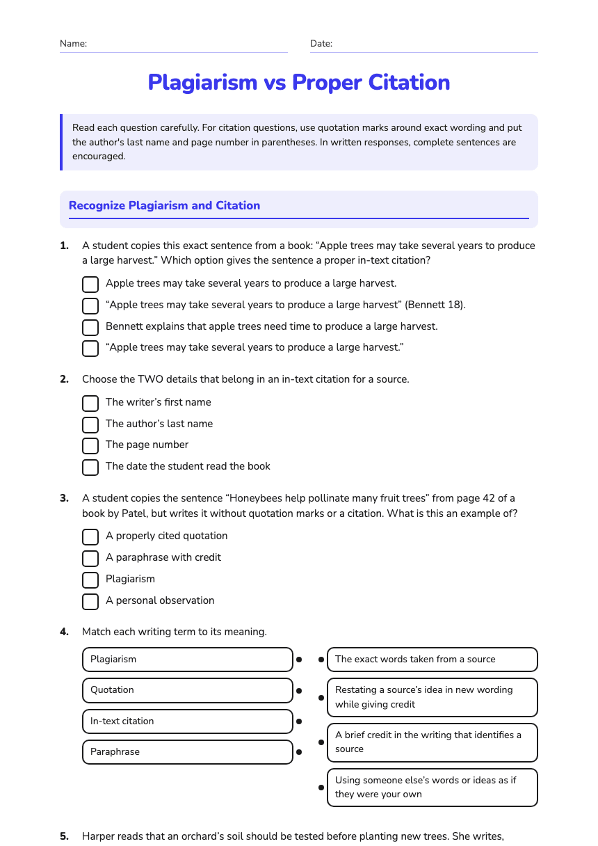 Plagiarism vs Proper Citation worksheet preview