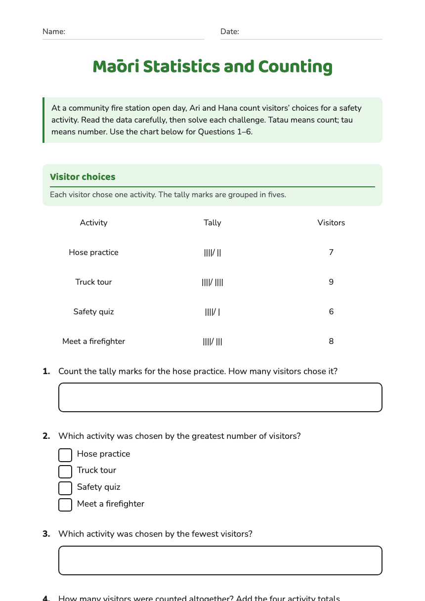 Māori Statistics and Counting worksheet preview