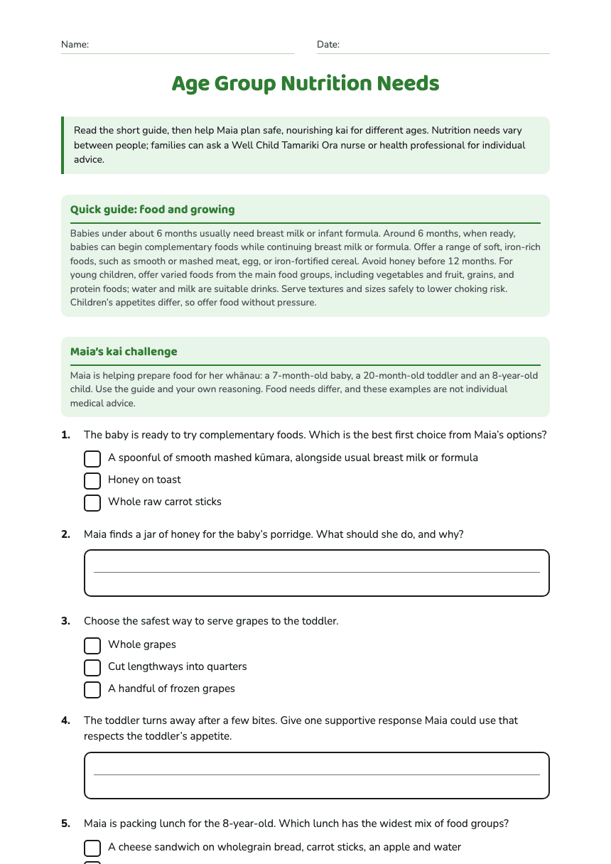 Age Group Nutrition Needs worksheet preview