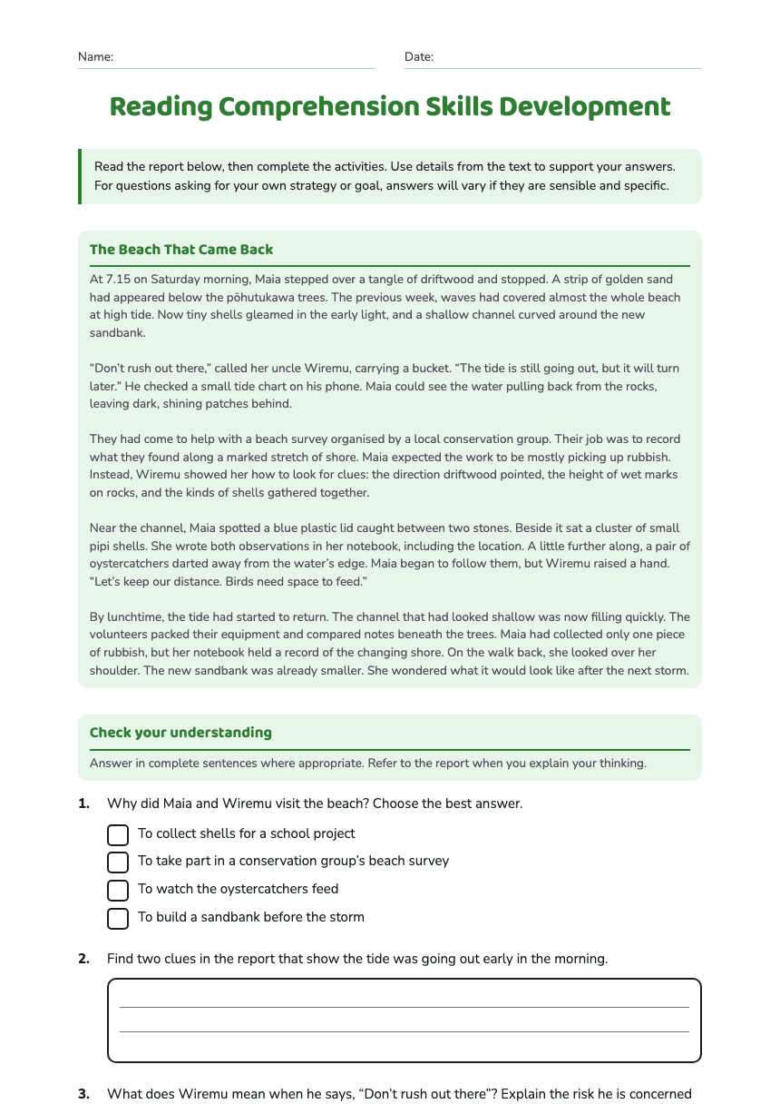 Reading Comprehension Skills Development worksheet preview