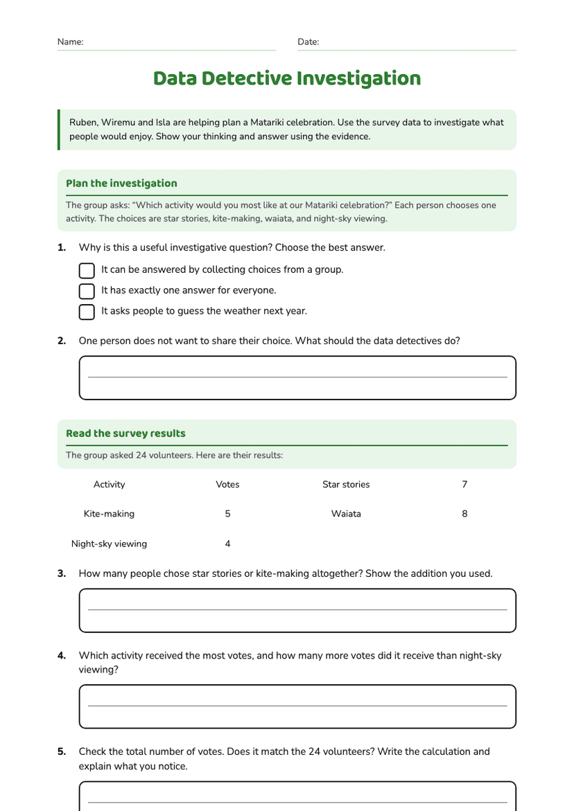 Data Detective Investigation