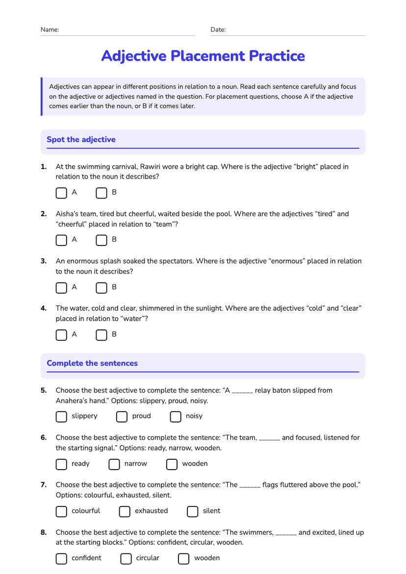 Adjective Placement Practice