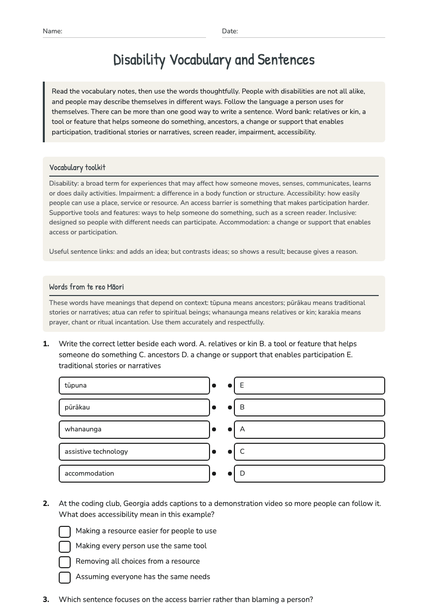 Disability Vocabulary and Sentences worksheet preview