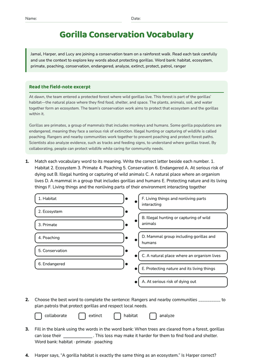 Gorilla Conservation Vocabulary