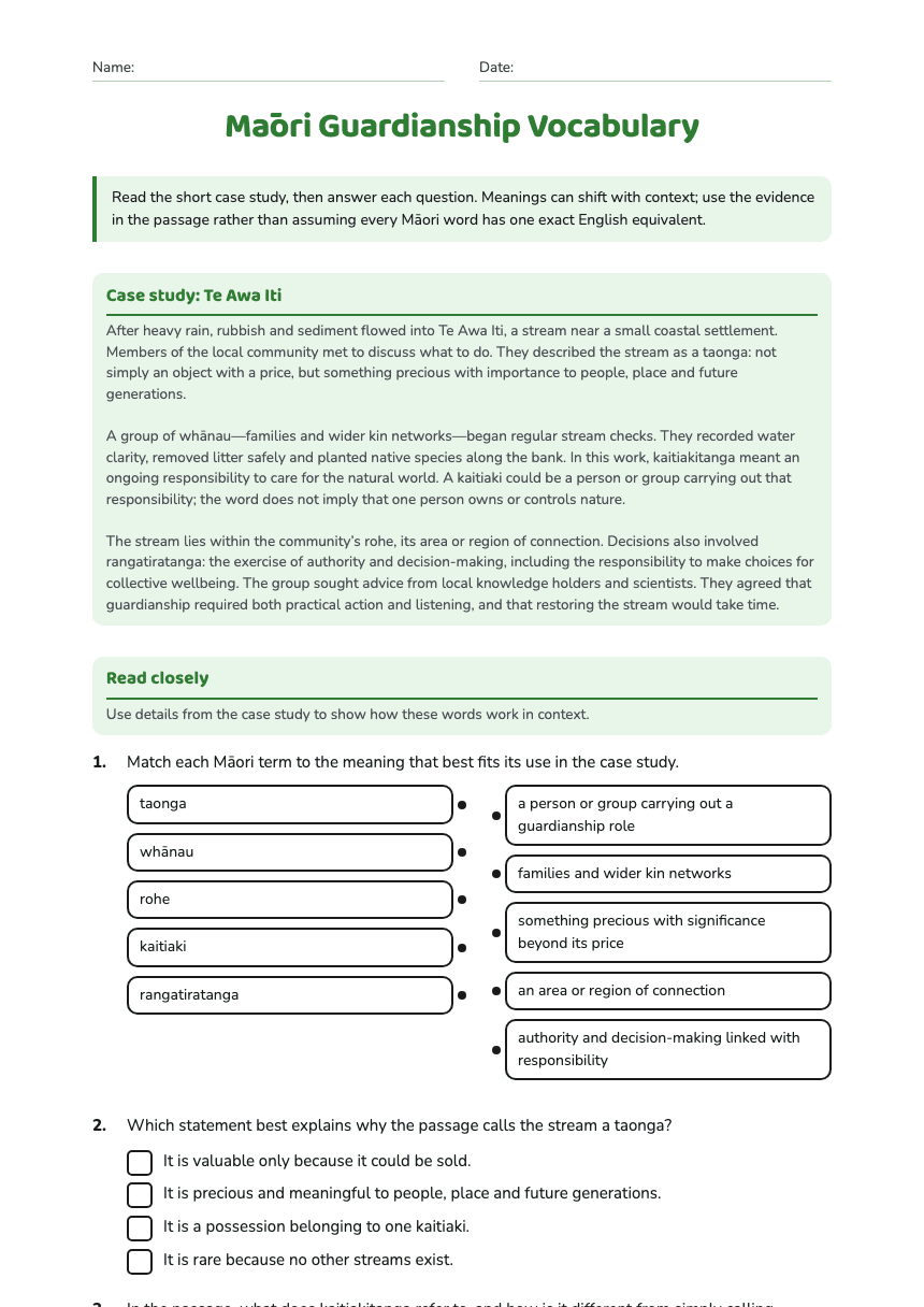 Māori Guardianship Vocabulary worksheet preview