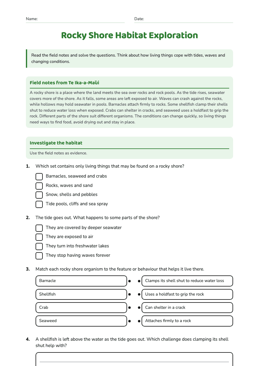 Rocky Shore Habitat Exploration worksheet preview