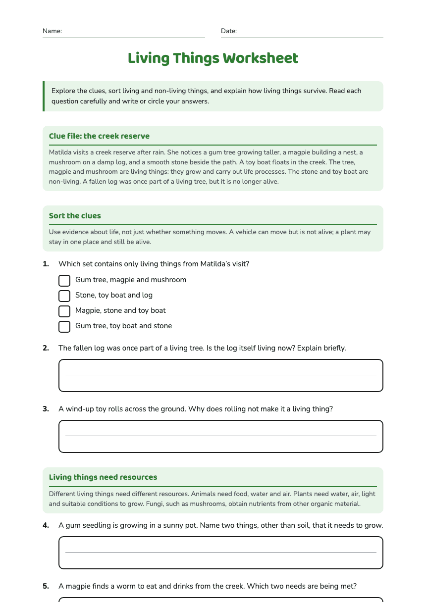 Living Things Worksheet worksheet preview