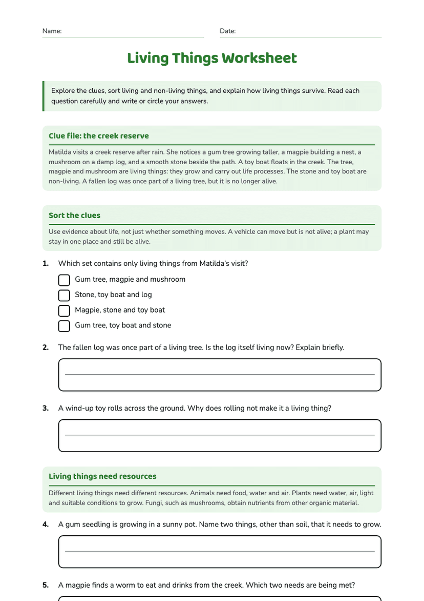 Living Things Worksheet