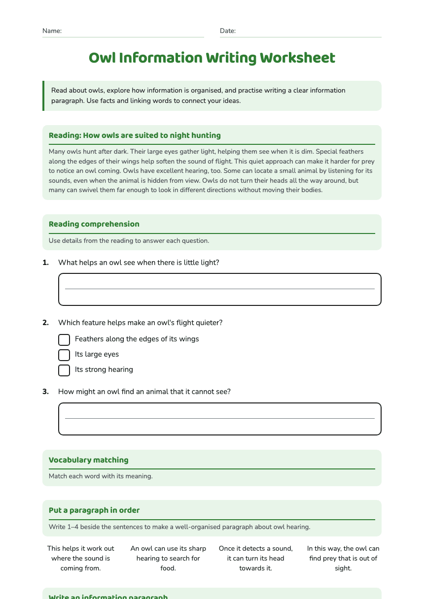 Owl Information Writing Worksheet worksheet preview