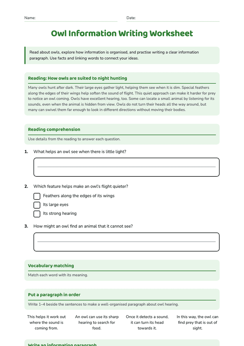 Owl Information Writing Worksheet