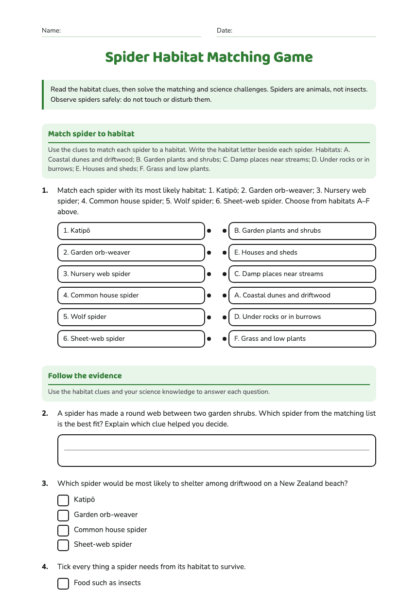 Spider Habitat Matching Game worksheet preview