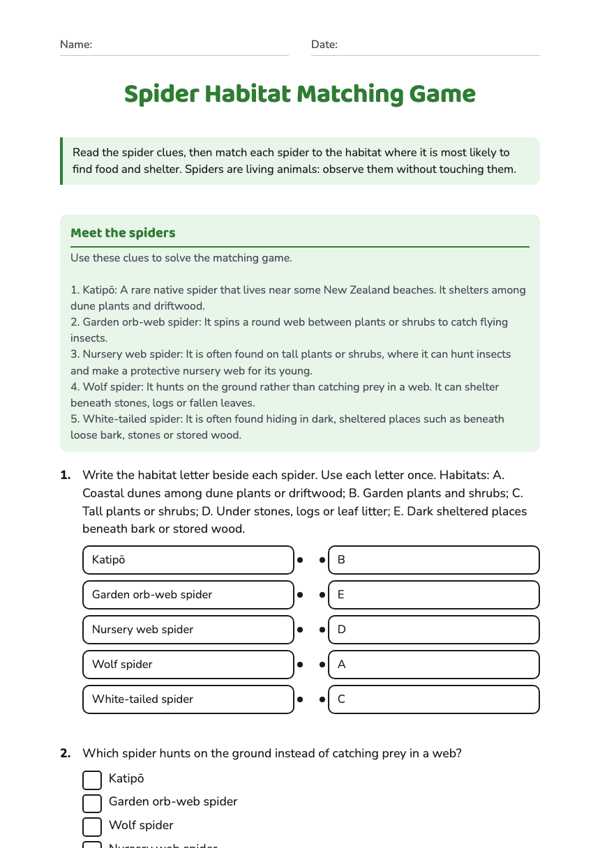 Spider Habitat Matching Game worksheet preview