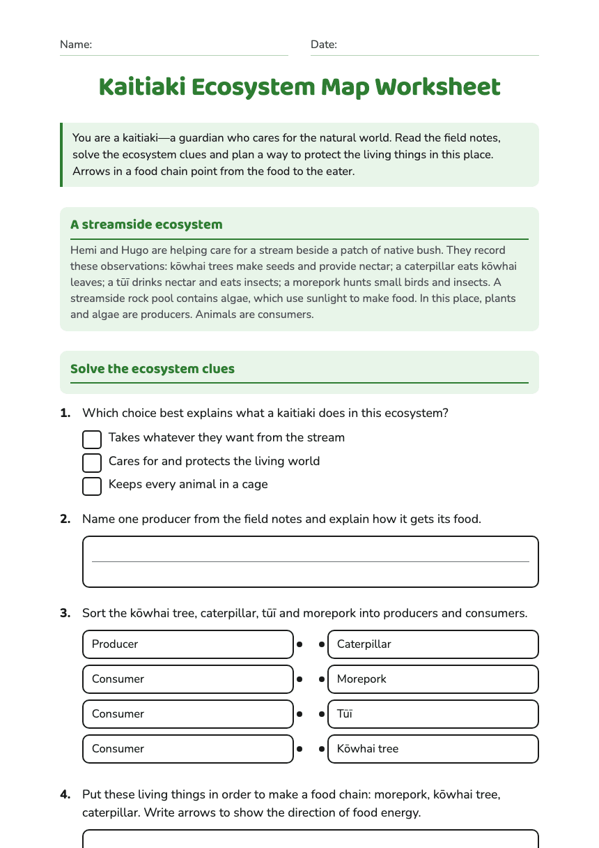 Kaitiaki Ecosystem Map Worksheet worksheet preview