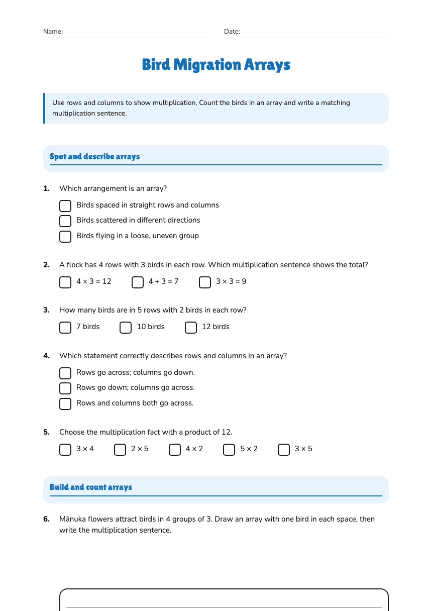 Bird Migration Arrays worksheet preview