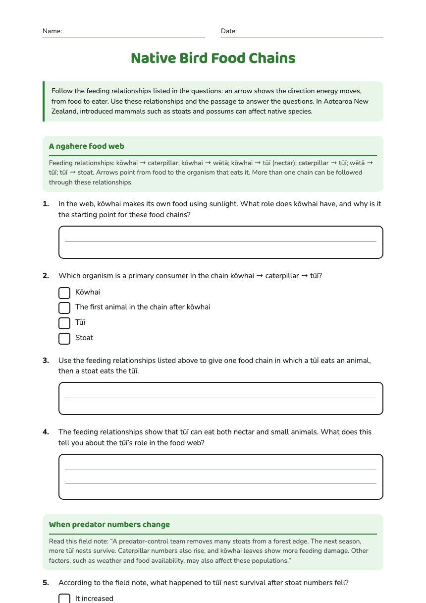 Native Bird Food Chains worksheet preview