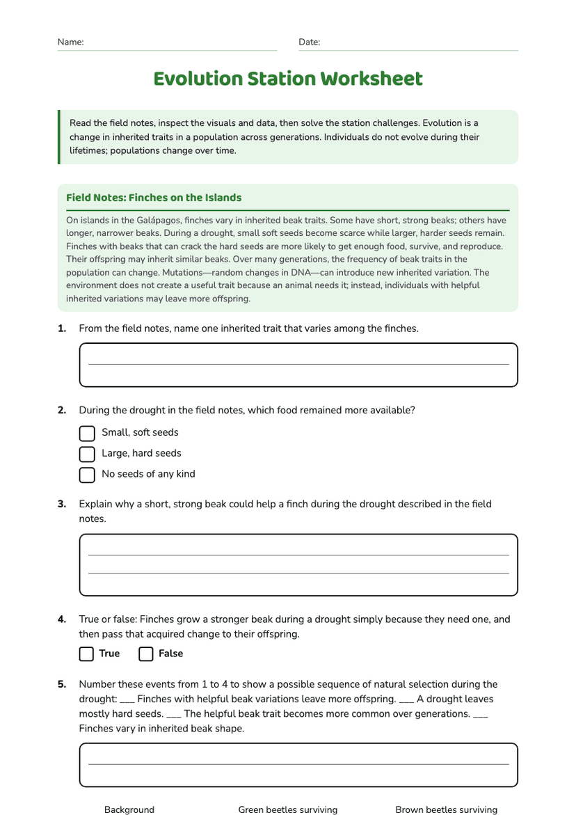 Evolution Station Worksheet