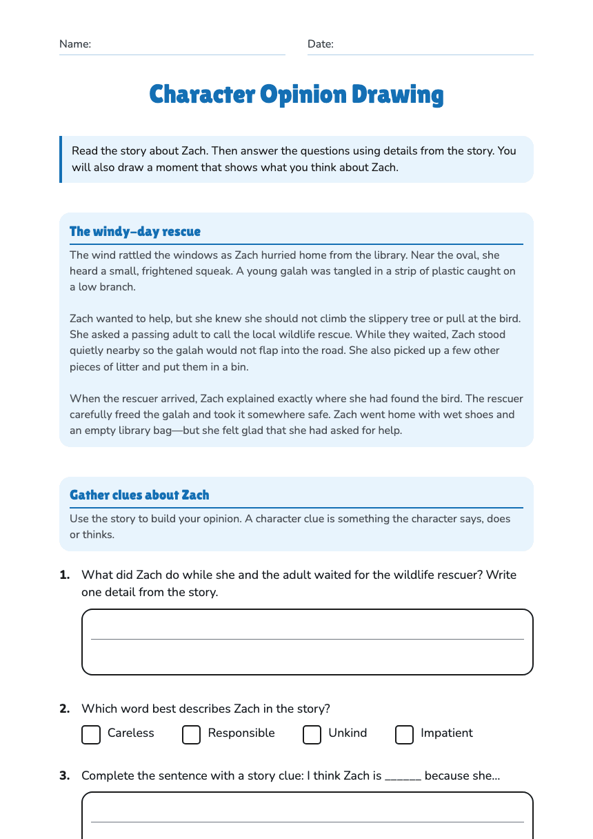 Character Opinion Drawing worksheet preview
