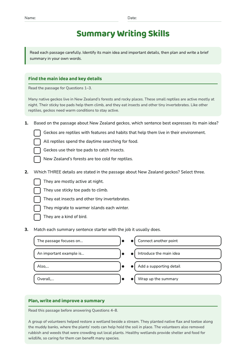 Summary Writing Skills worksheet preview