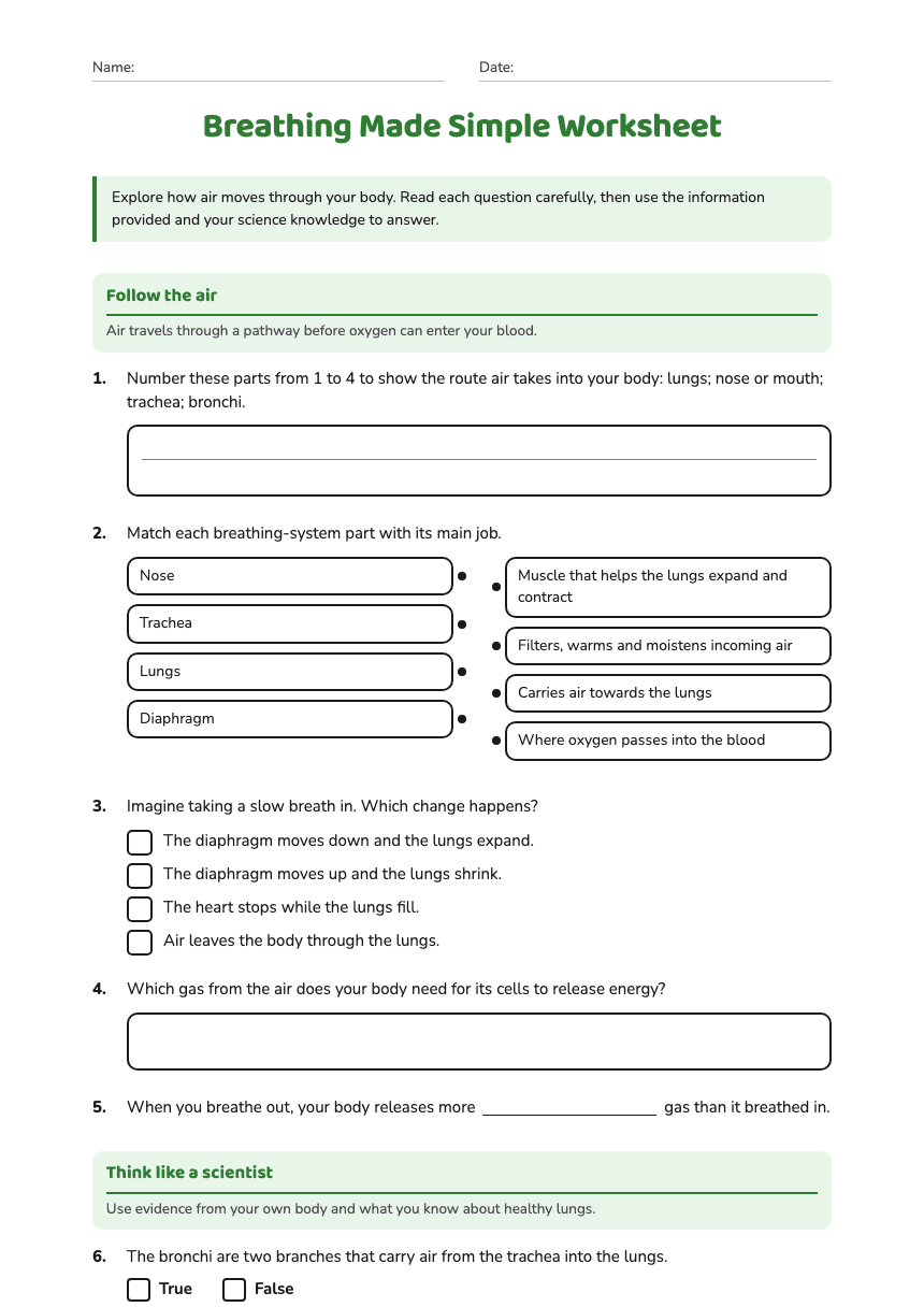 Breathing Made Simple Worksheet worksheet preview