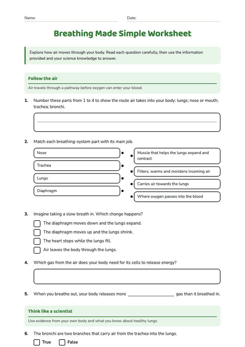 Breathing Made Simple Worksheet
