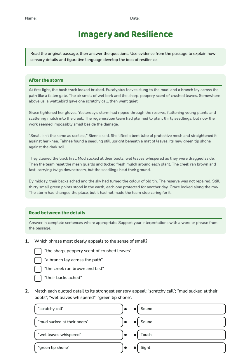 Imagery and Resilience worksheet preview