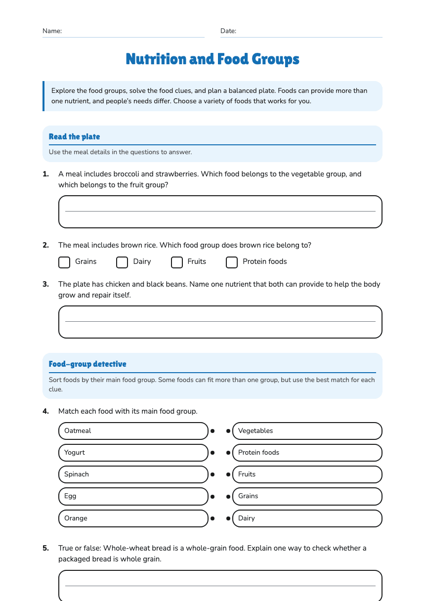 Nutrition and Food Groups worksheet preview