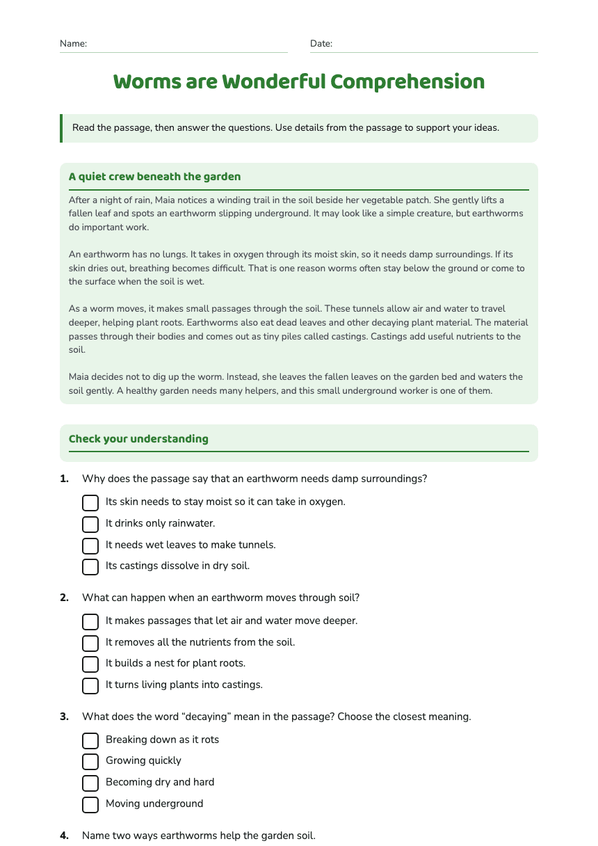 Worms are Wonderful Comprehension worksheet preview