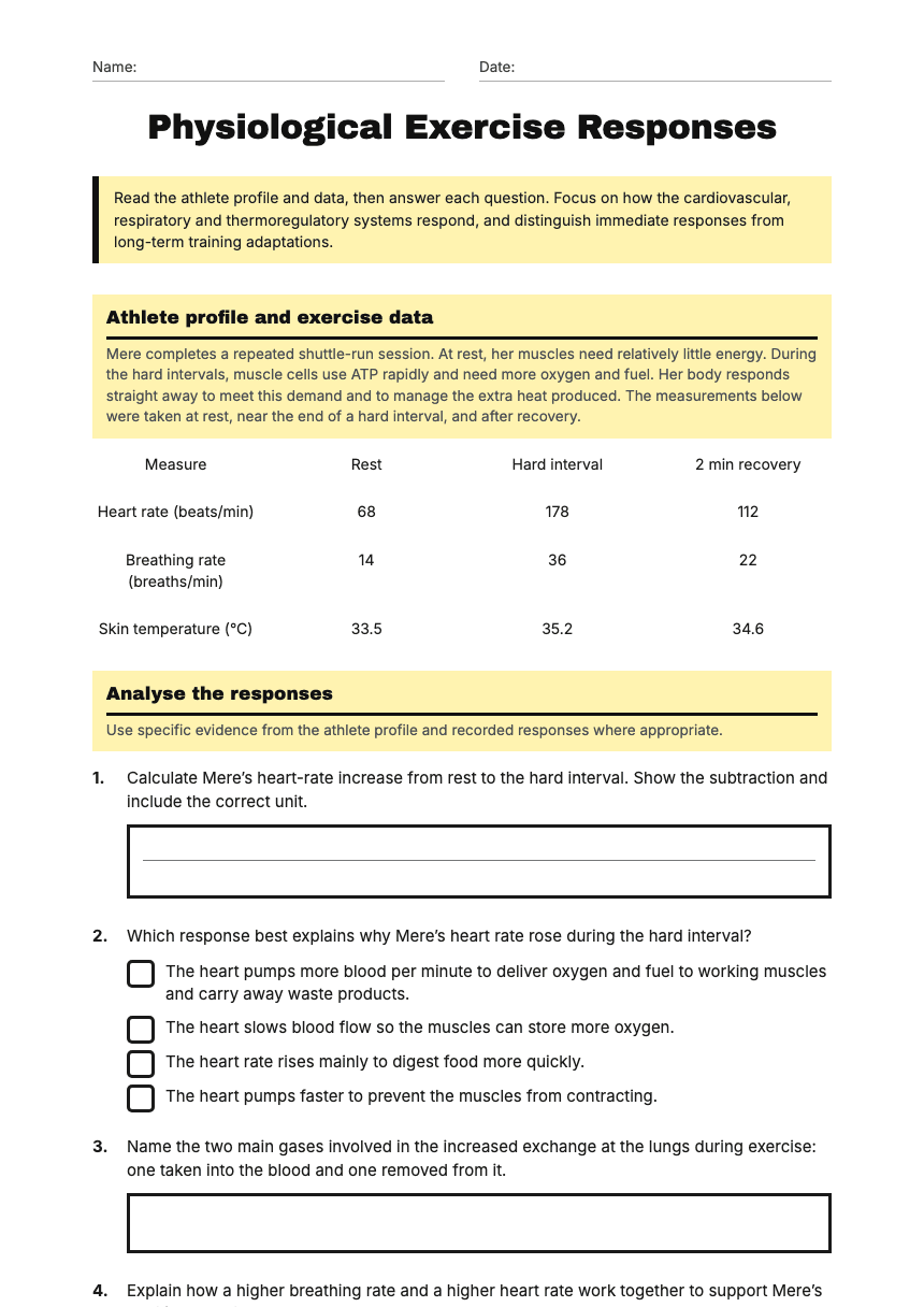 Physiological Exercise Responses worksheet preview