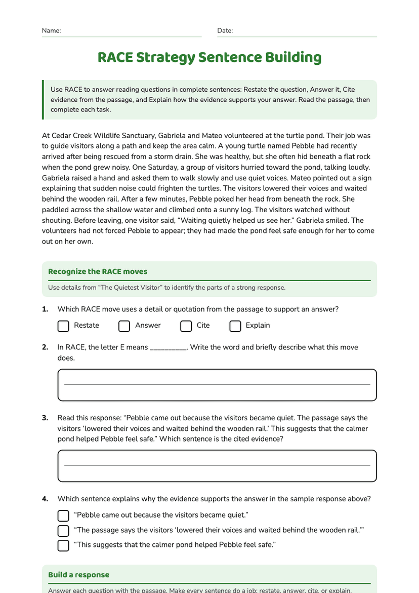 RACE Strategy Sentence Building