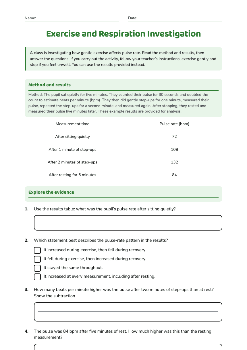 Exercise and Respiration Investigation worksheet preview