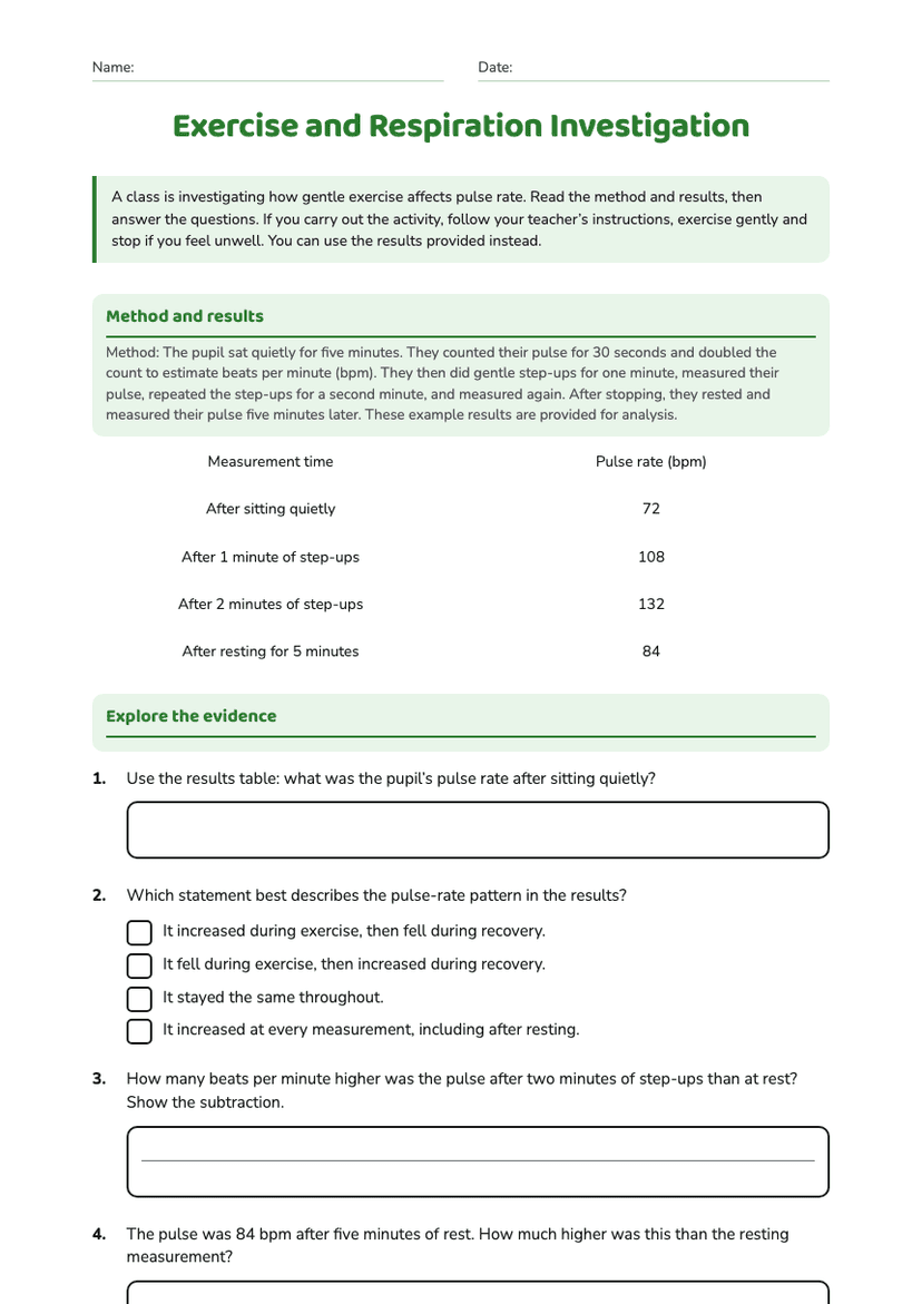 Exercise and Respiration Investigation