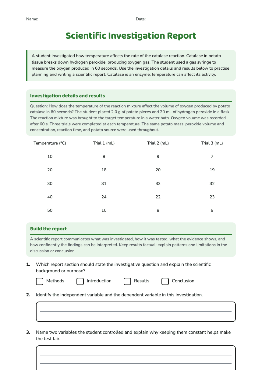 Scientific Investigation Report worksheet preview