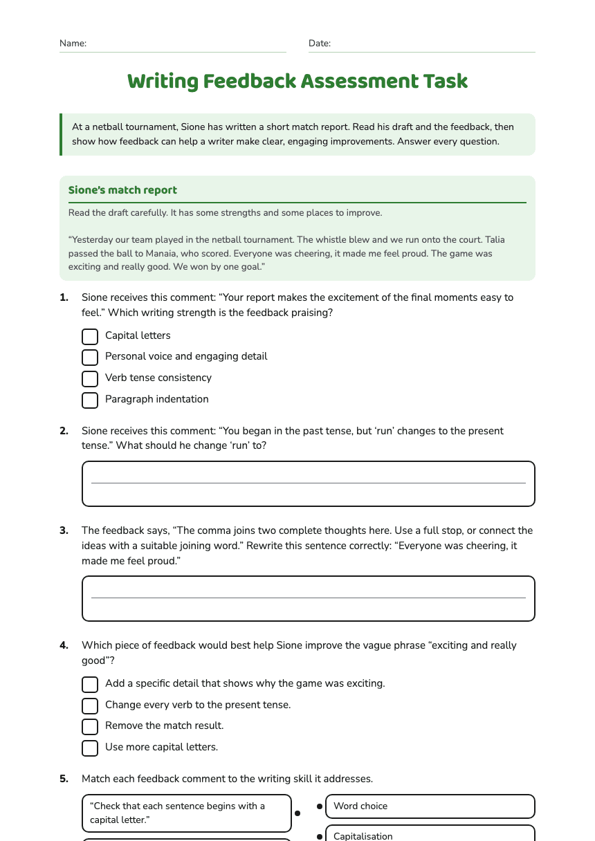 Writing Feedback Assessment Task worksheet preview