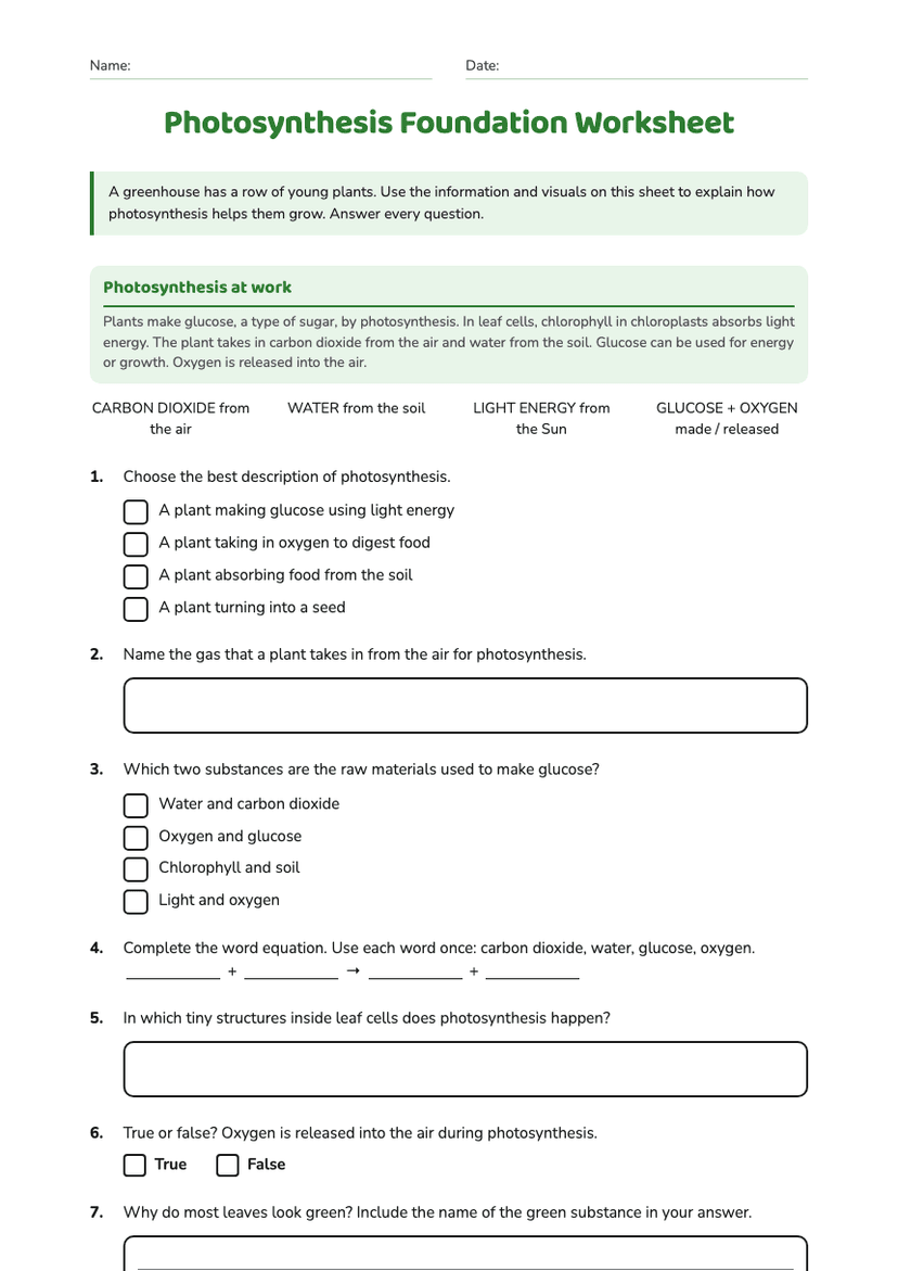 Photosynthesis Foundation Worksheet