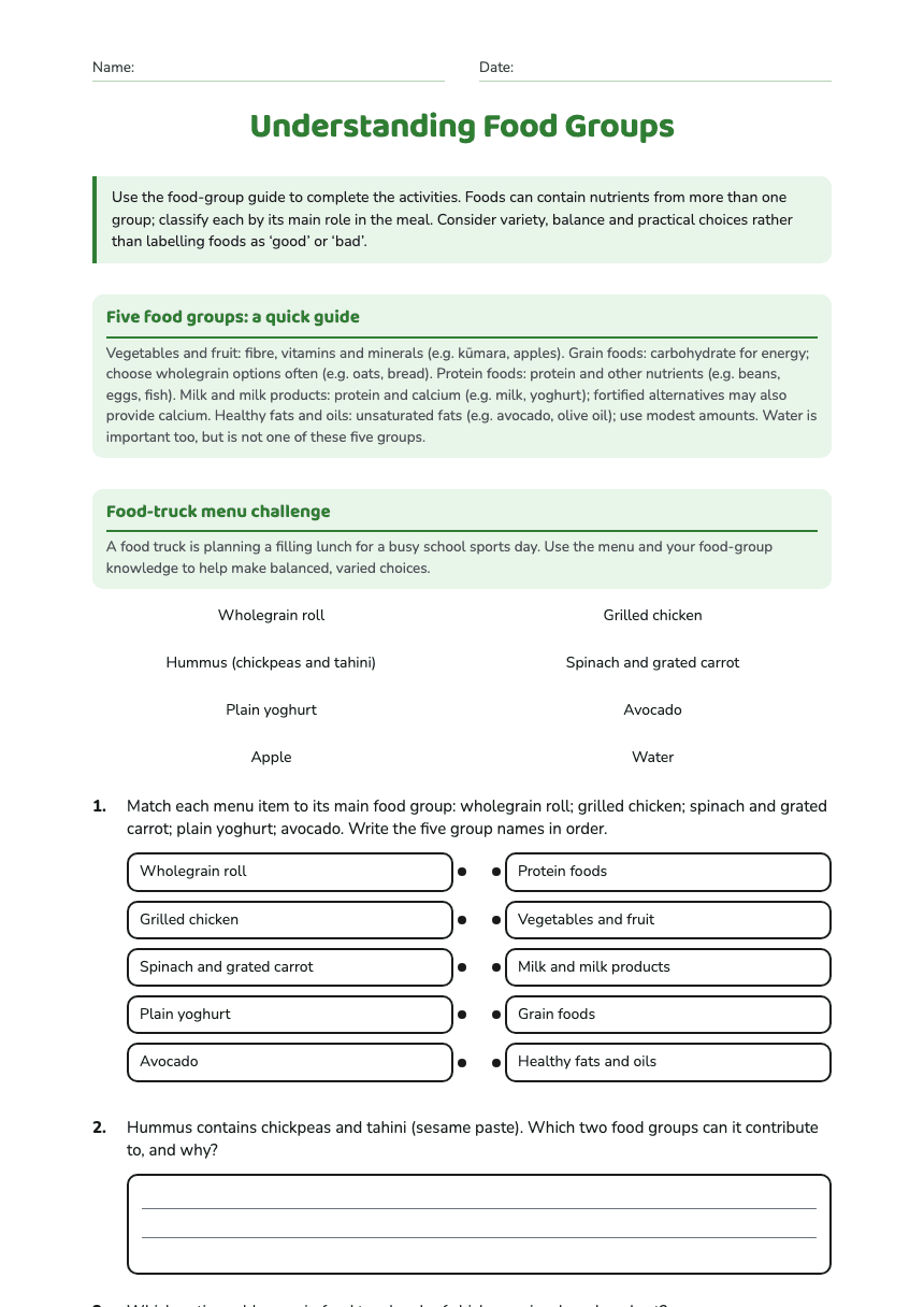 Understanding Food Groups worksheet preview