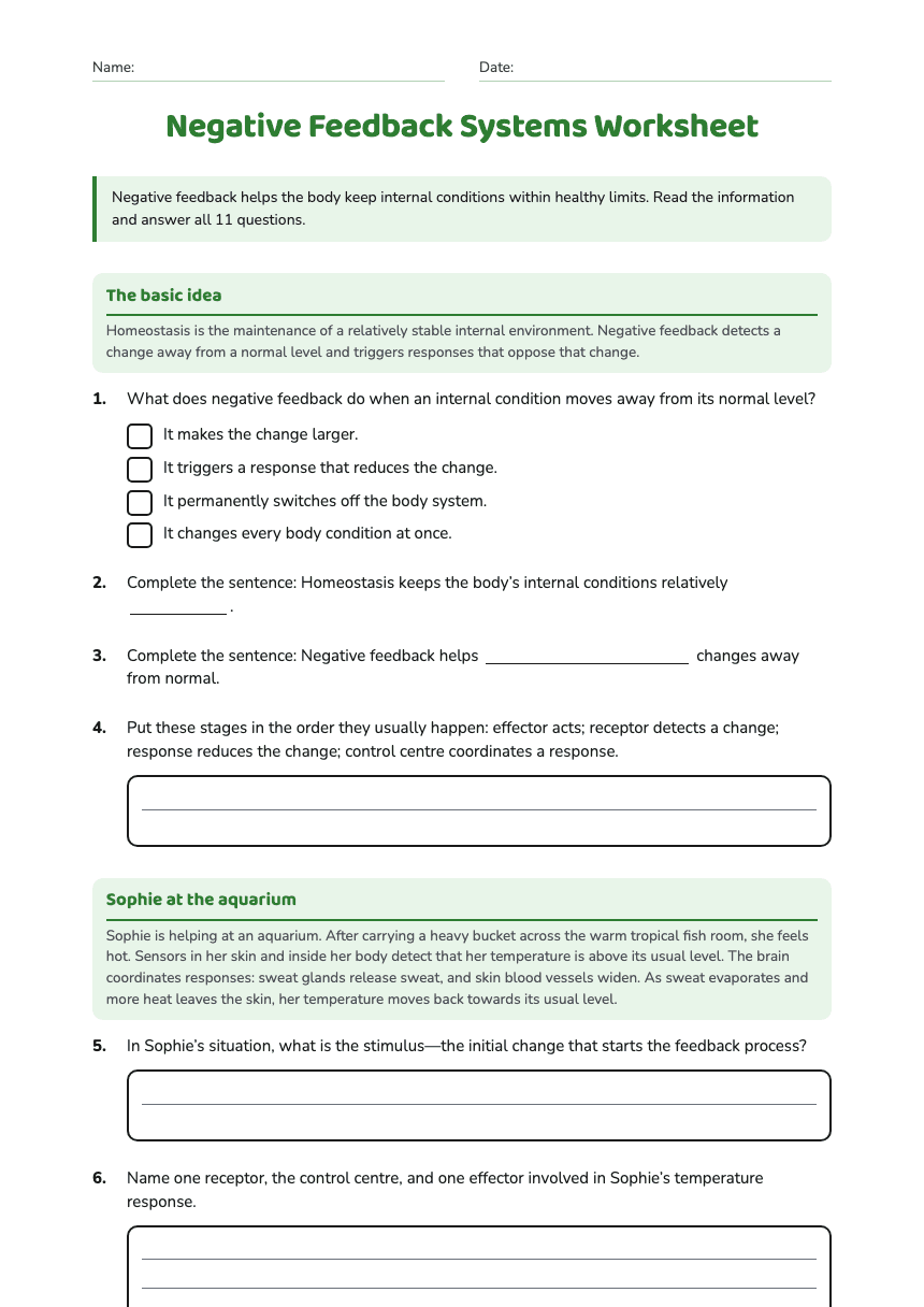 Negative Feedback Systems Worksheet worksheet preview