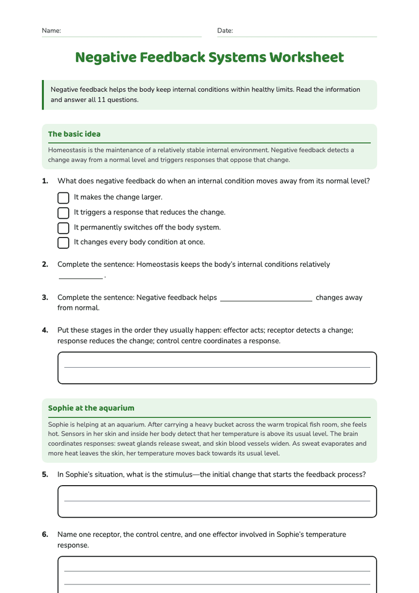 Negative Feedback Systems Worksheet