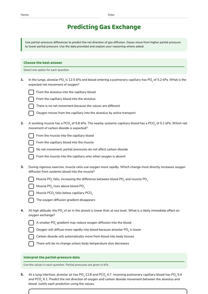 Predicting Gas Exchange worksheet preview
