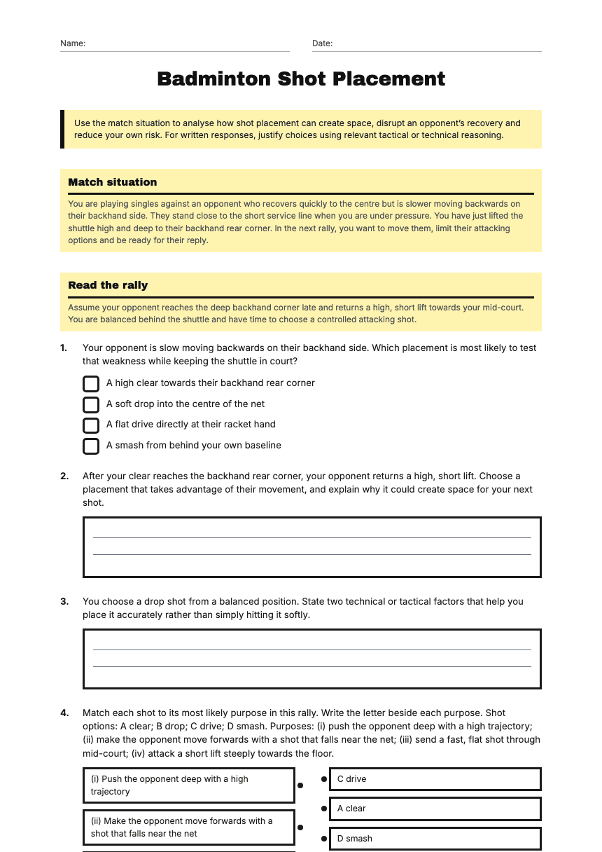 Badminton Shot Placement worksheet preview