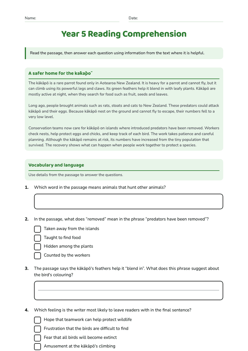 Year 5 Reading Comprehension worksheet preview