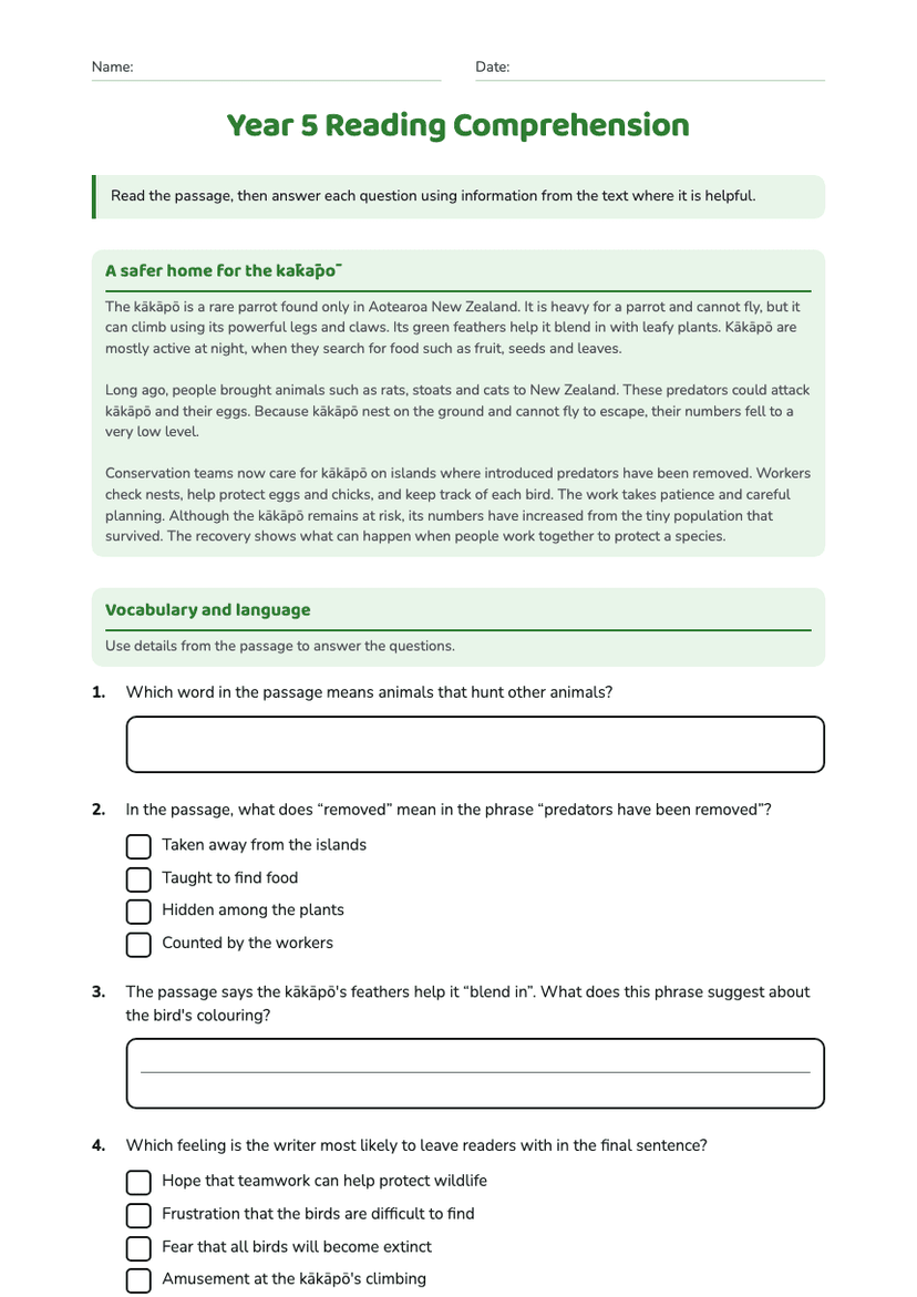 Year 5 Reading Comprehension