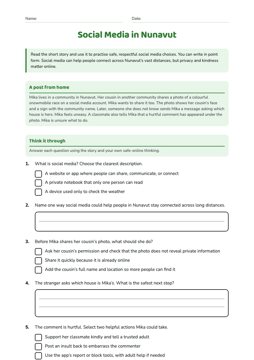 Social Media in Nunavut worksheet preview