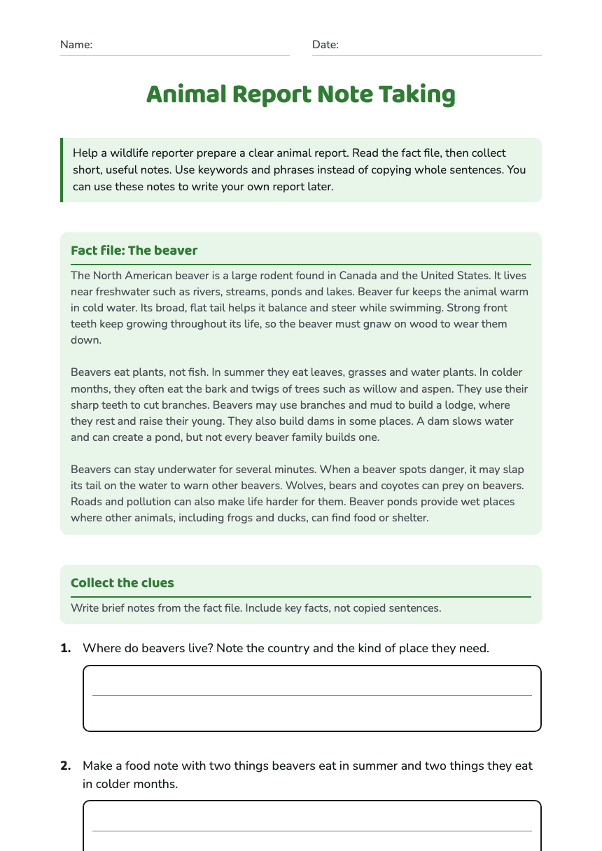 Animal Report Note Taking worksheet preview