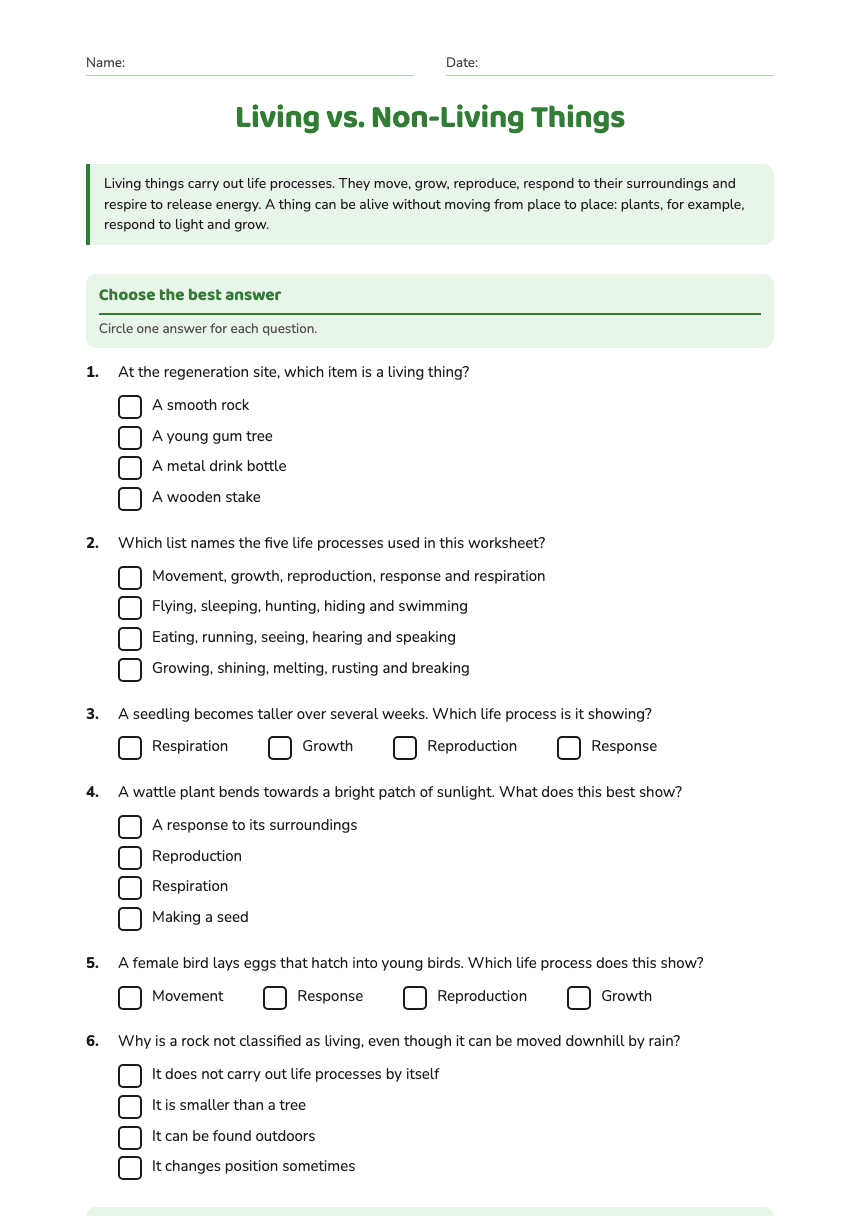 Living vs. Non-Living Things worksheet preview