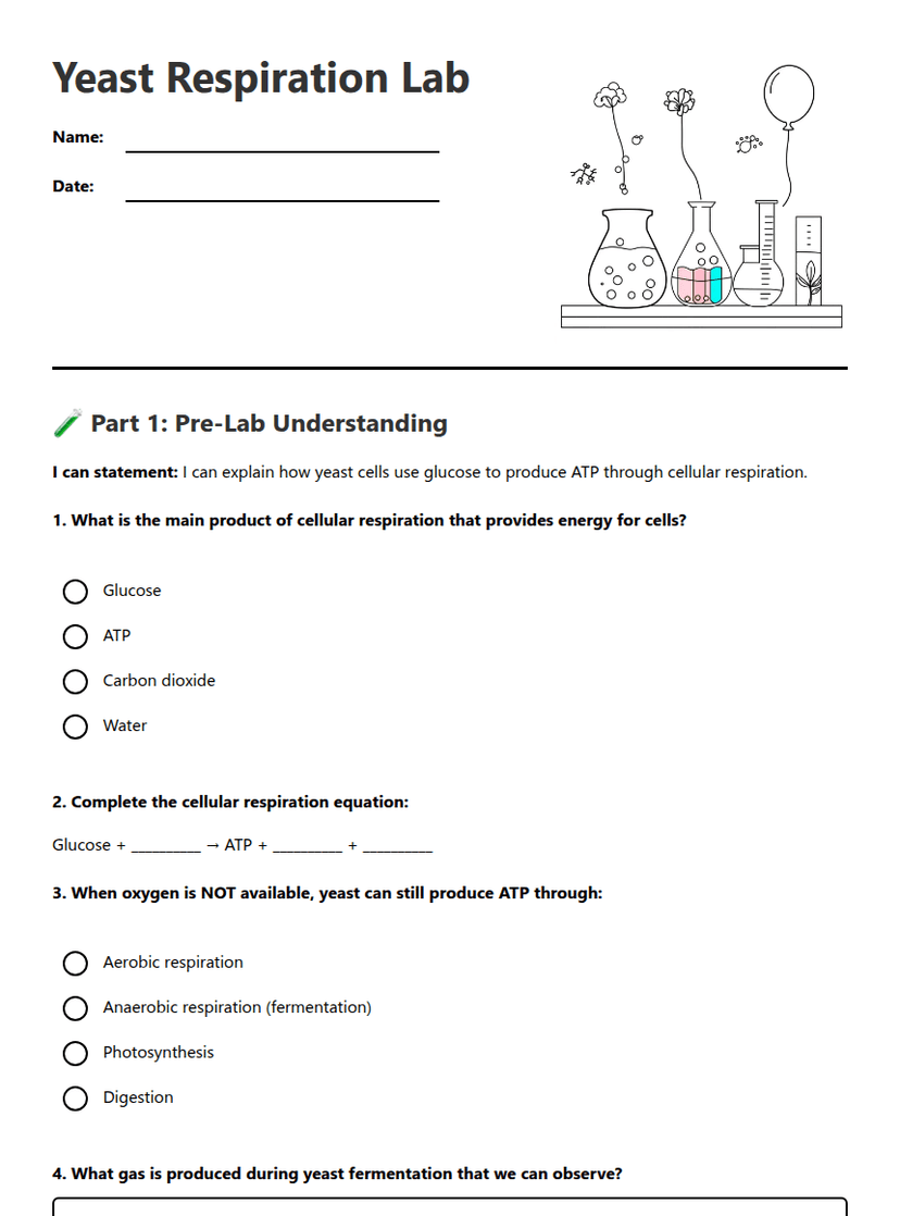 Yeast Respiration Lab — Free Printable Worksheet for Science | Kuraplan